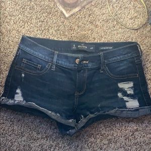 Brand new Hollister distressed shorts